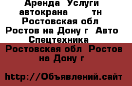 Аренда (Услуги) автокрана 14-50 тн - Ростовская обл., Ростов-на-Дону г. Авто » Спецтехника   . Ростовская обл.,Ростов-на-Дону г.